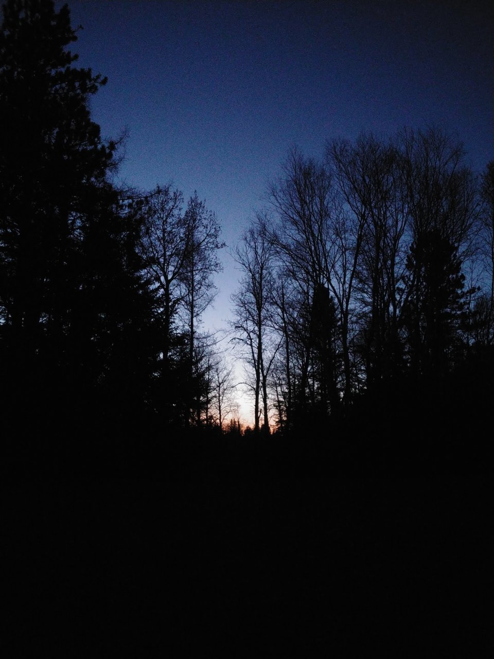 20220507_204216.jpg