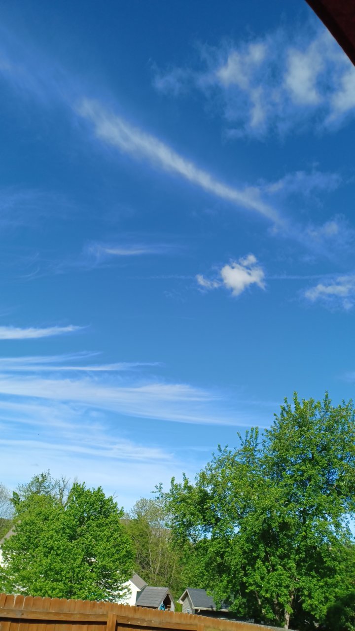 20220508_172810.jpg