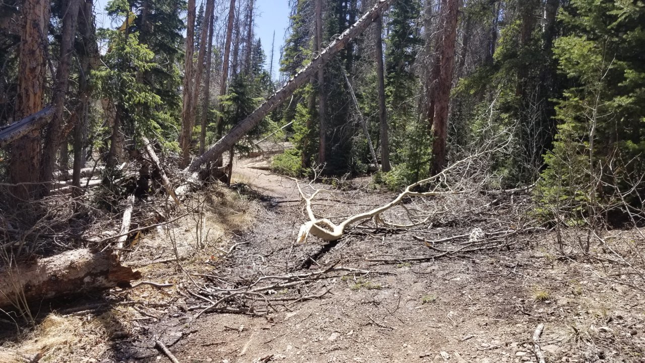 20220509_133823.jpg