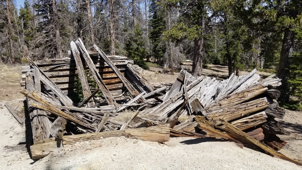 20220509_144104.jpg