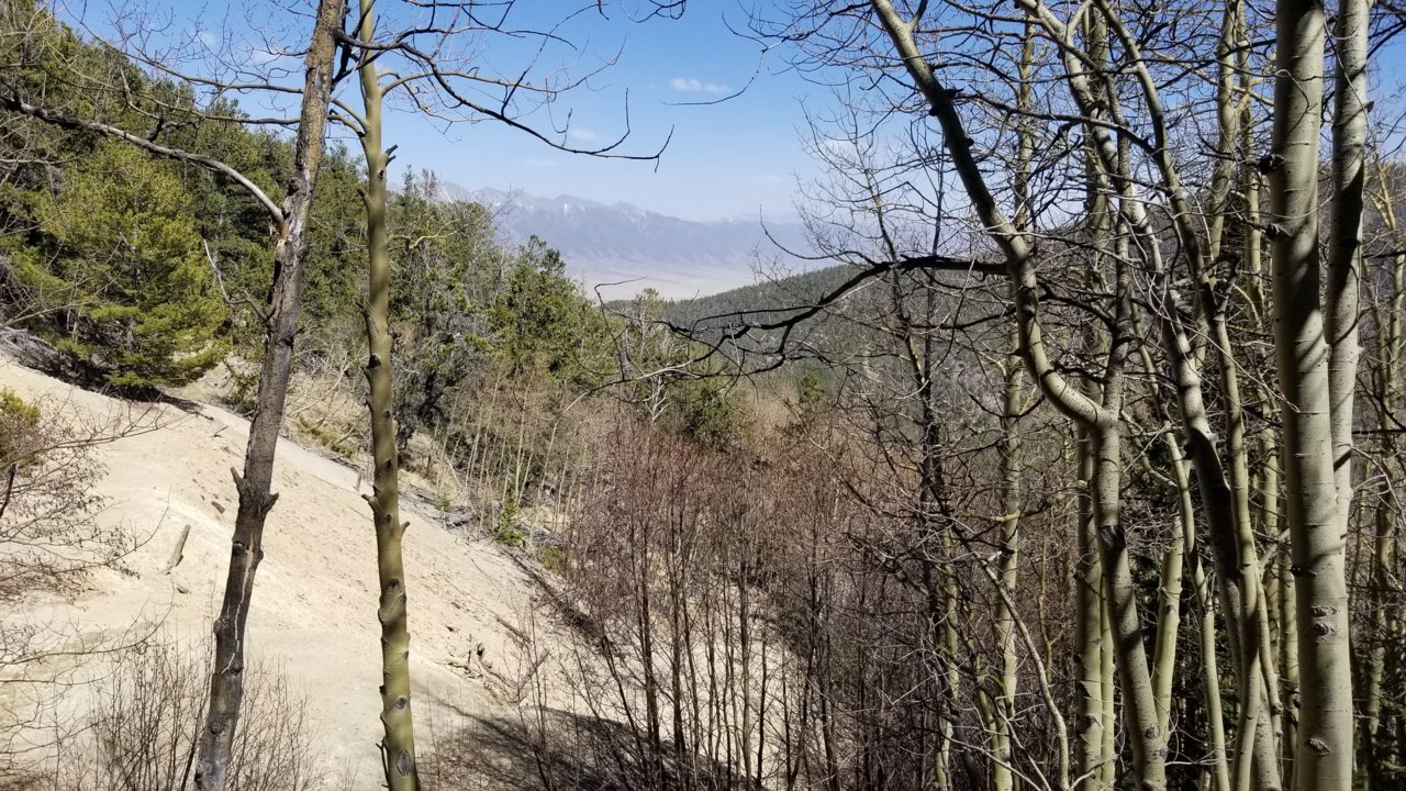20220509_152210.jpg