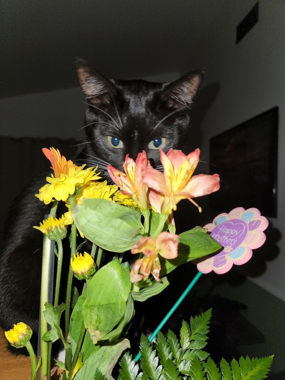 20220511_045817.jpg