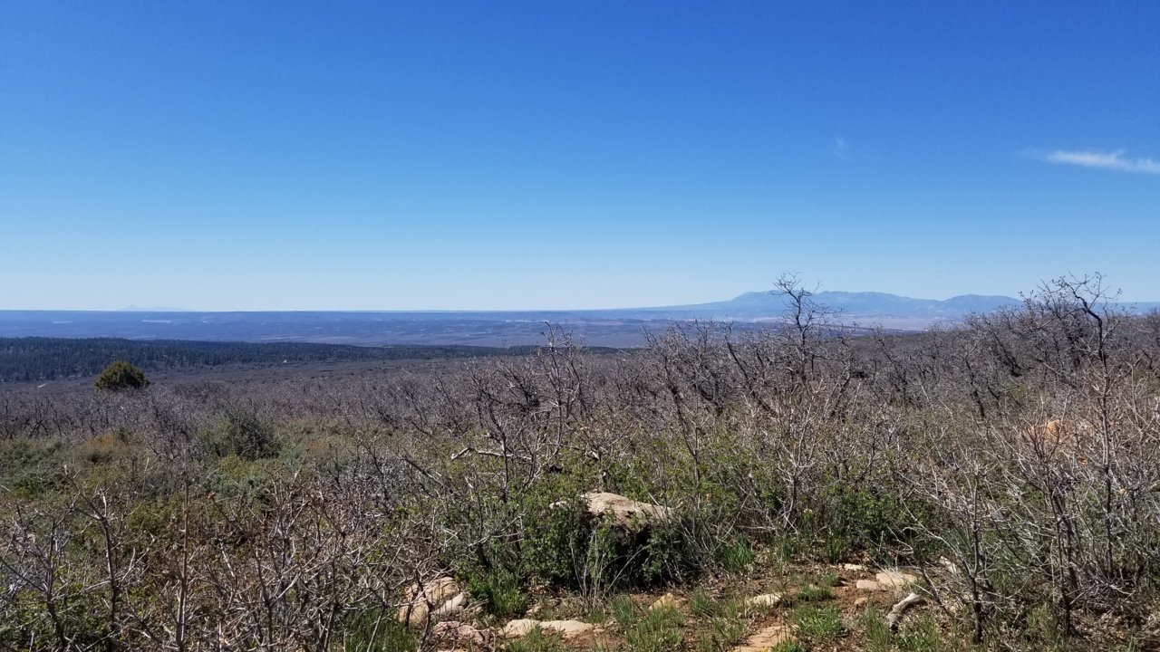 20220512_102748.jpg