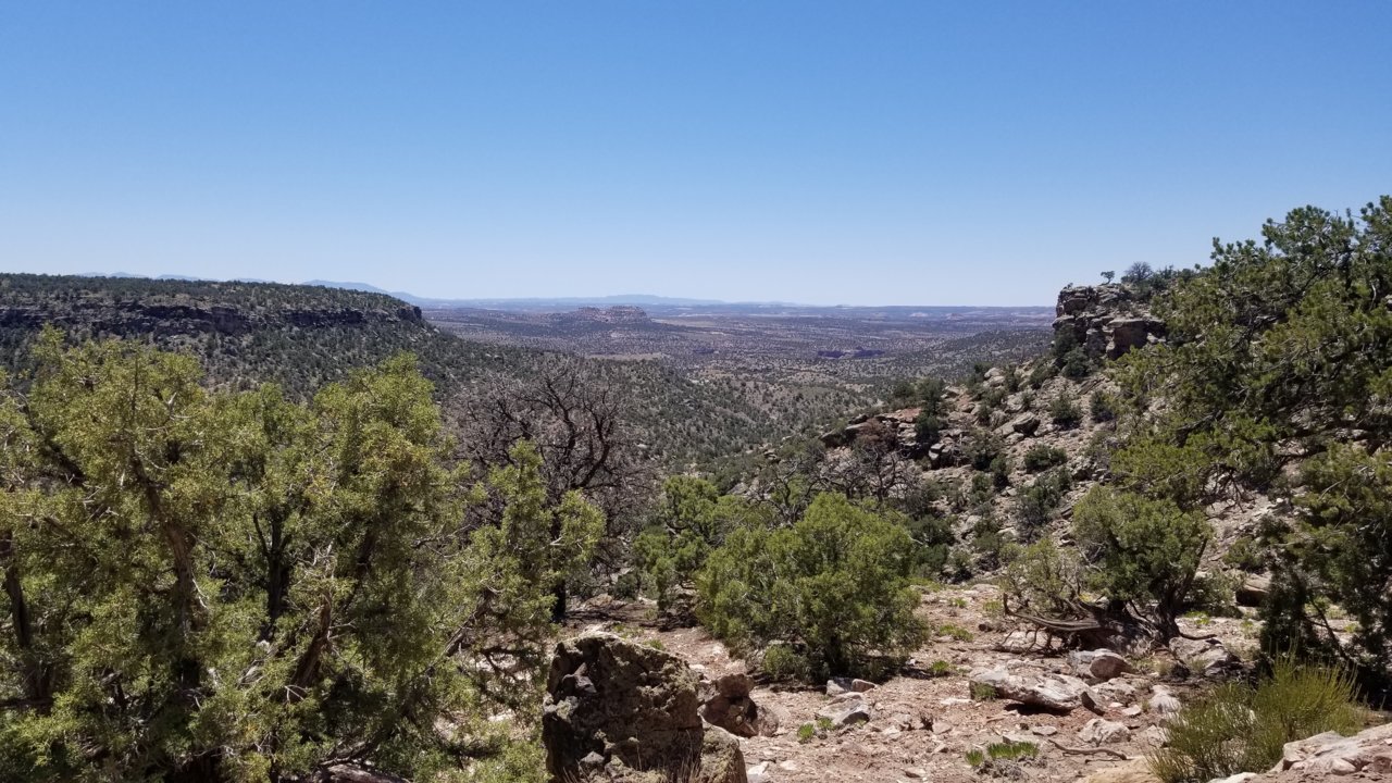 20220512_134347.jpg