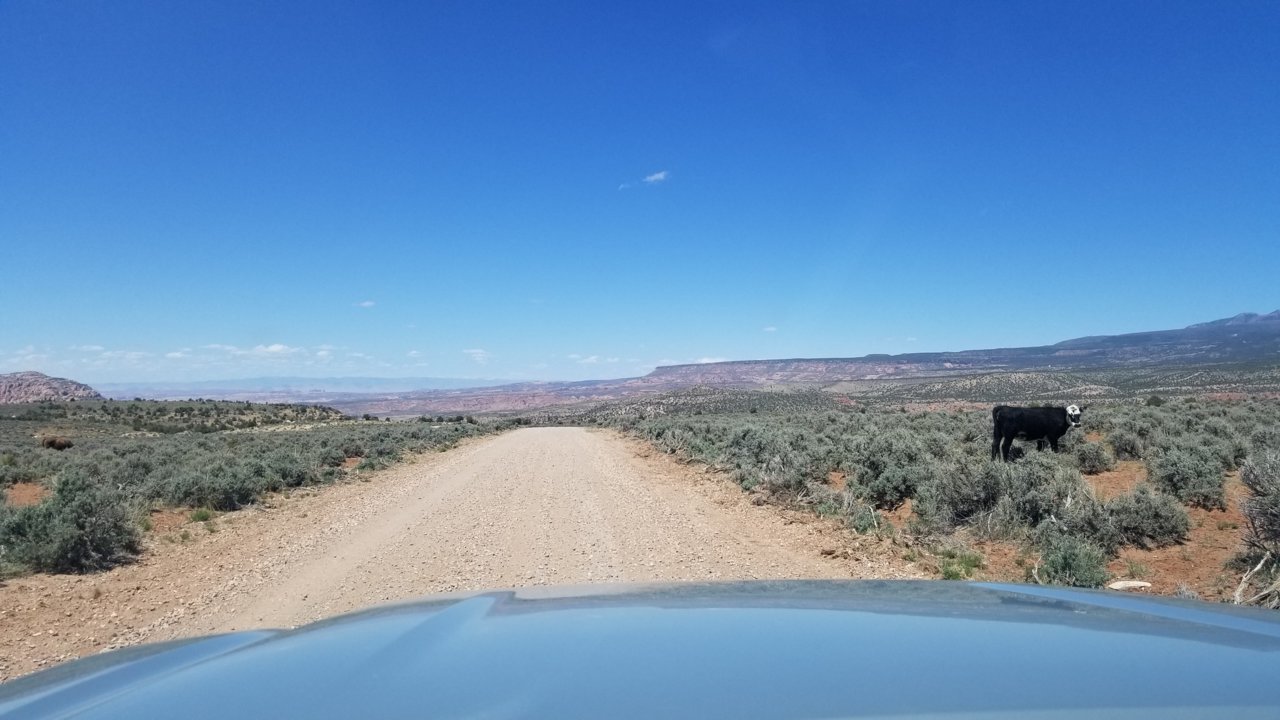 20220512_135131.jpg