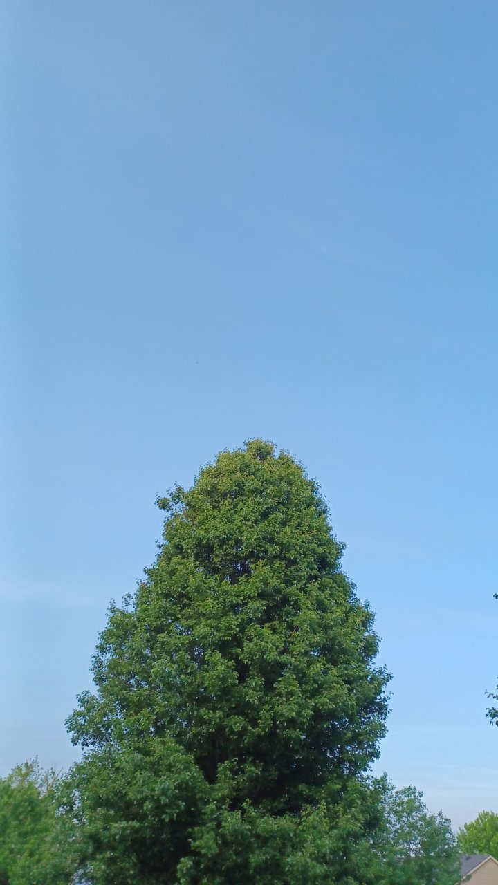 20220512_201555.jpg