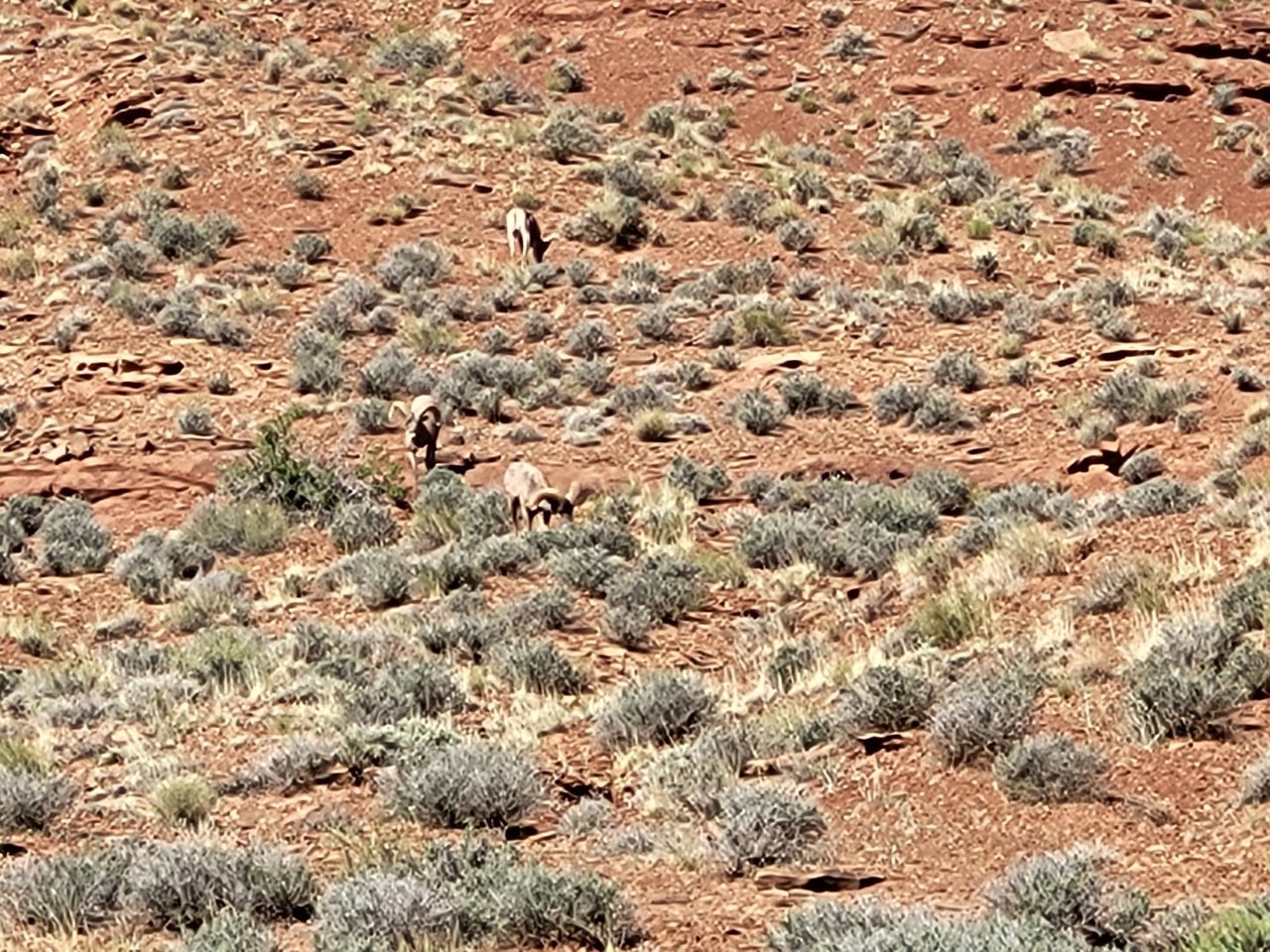 20220513_093809.jpg