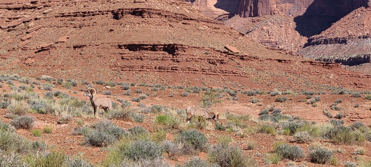 20220513_094422.jpg