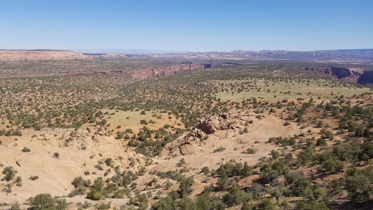 20220513_103710.jpg