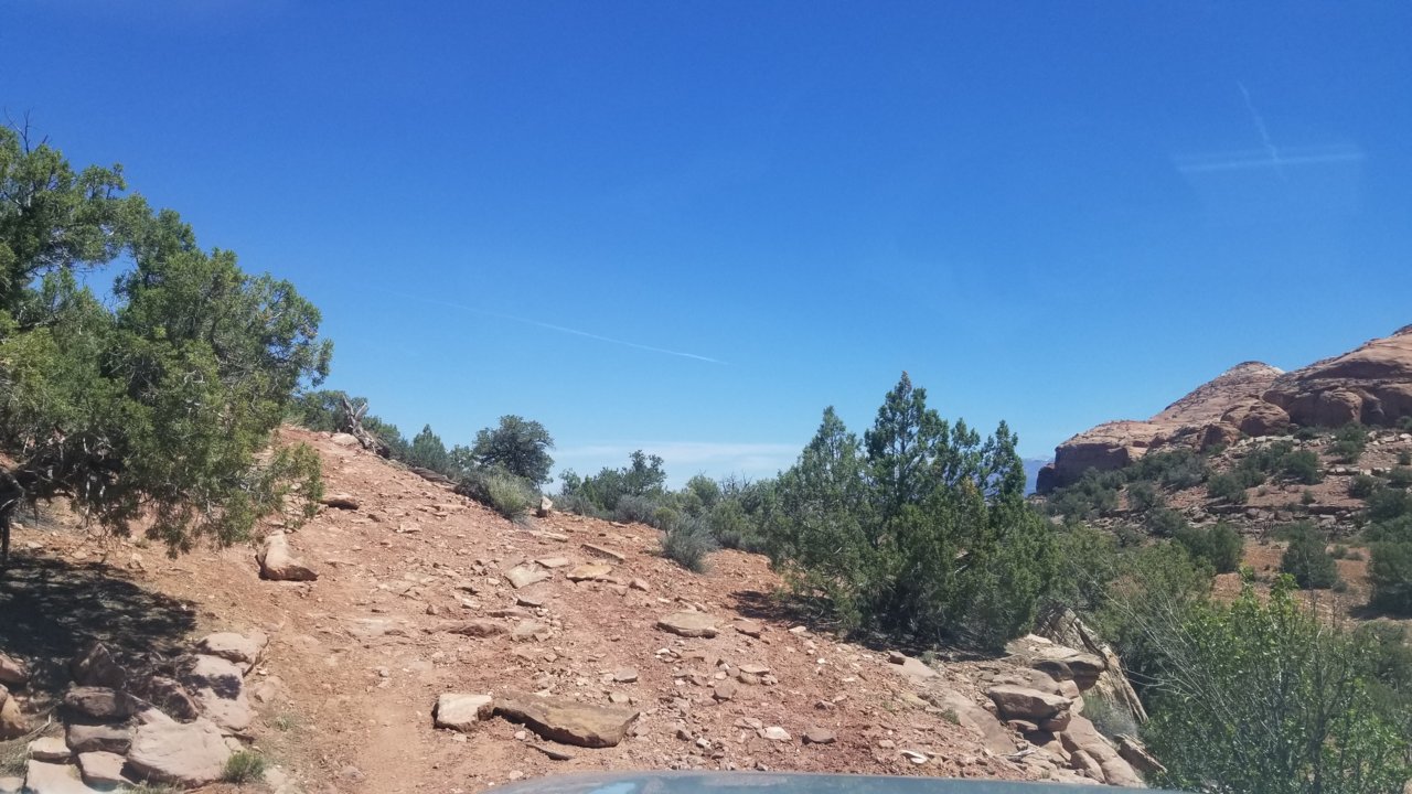 20220513_121529.jpg