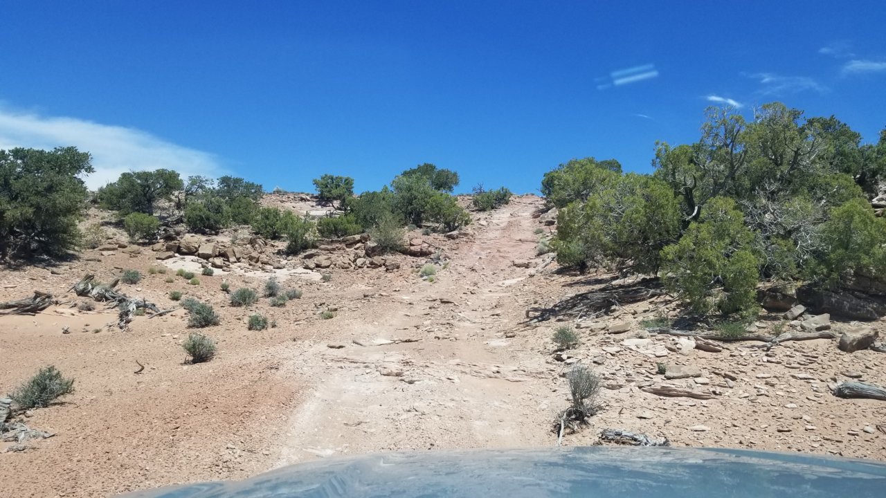 20220513_133117.jpg