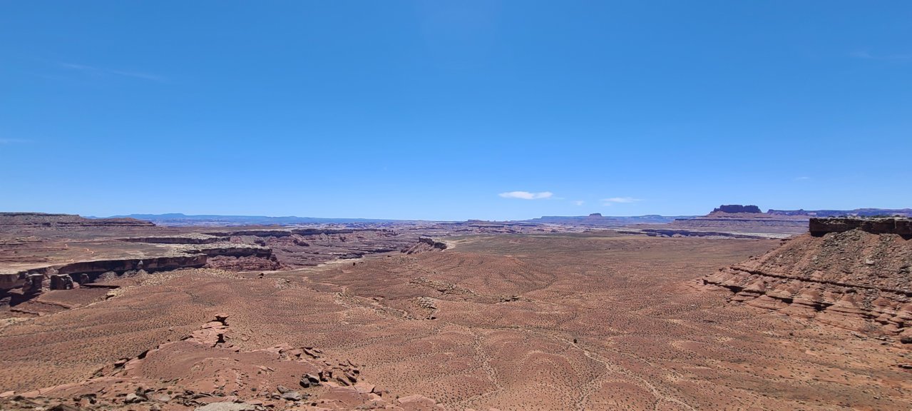 20220513_135151.jpg