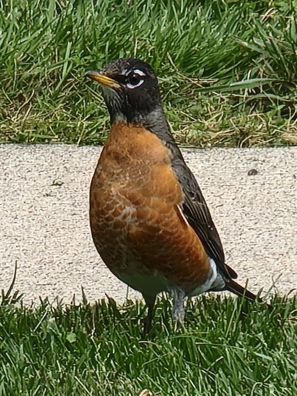 20220513_142741.jpg