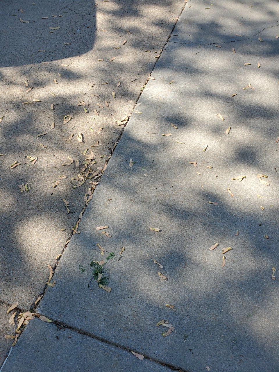 20220513_170911.jpg