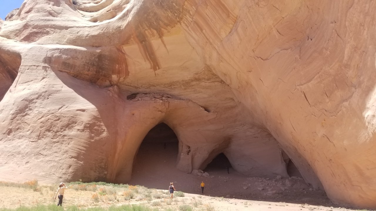 20220514_140905.jpg