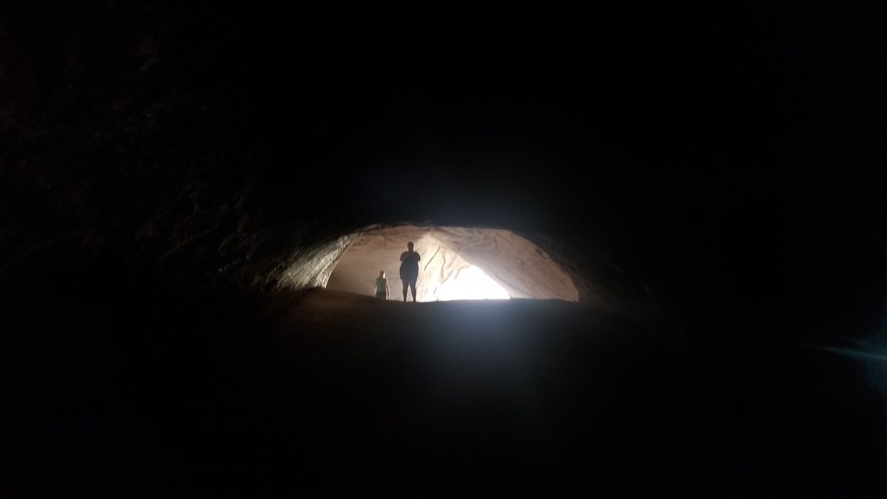 20220514_141137.jpg