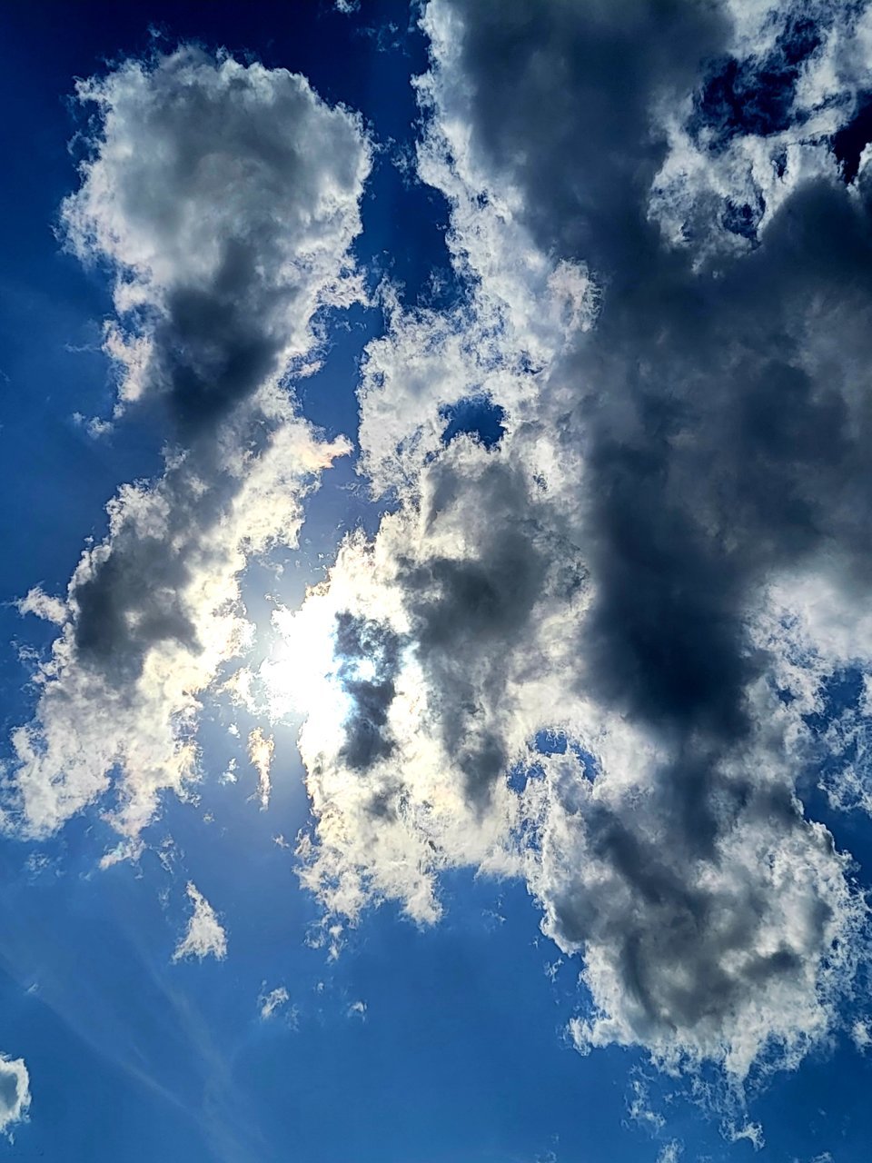 20220514_164959.jpg