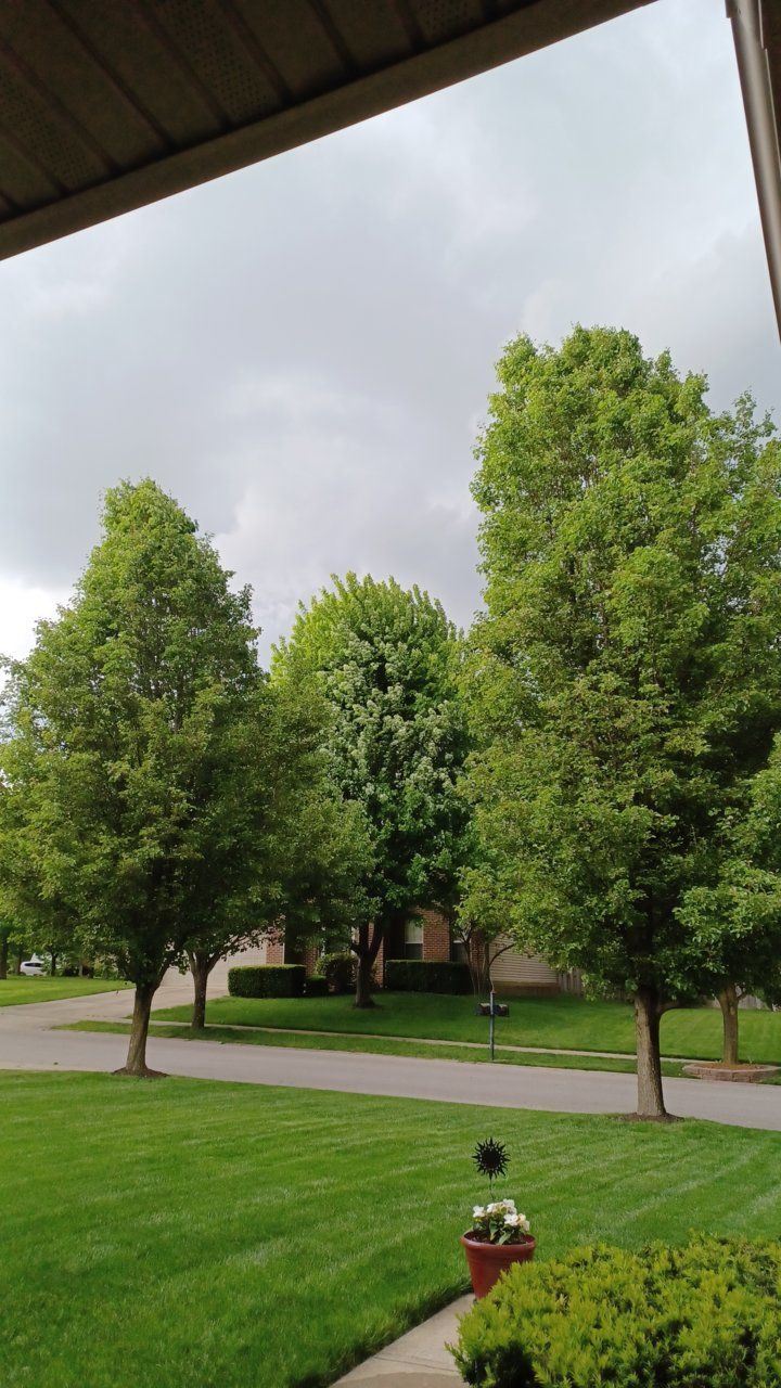 20220514_172450.jpg