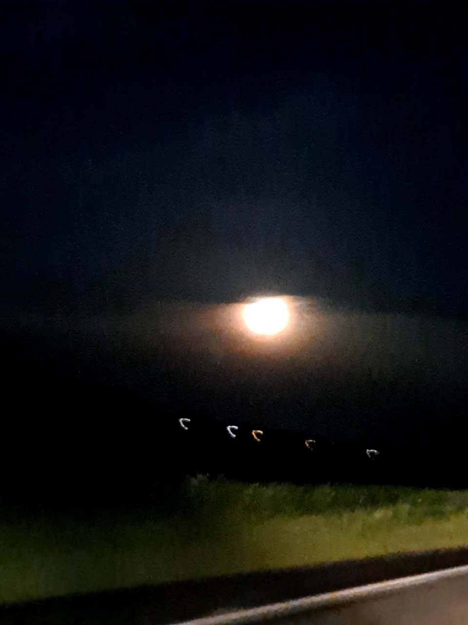 20220515_044455.jpg