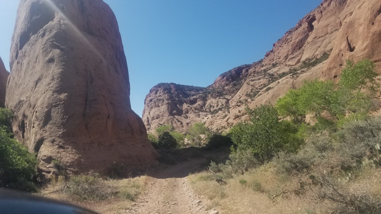 20220515_100154.jpg