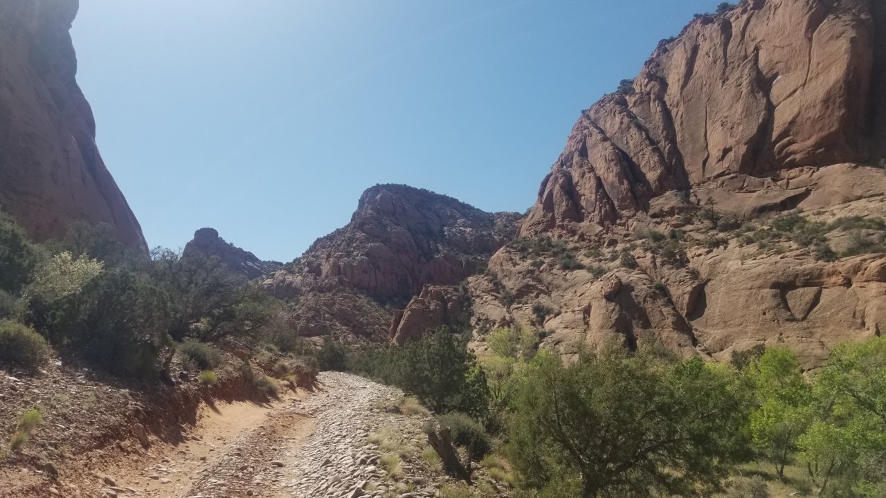 20220515_100911.jpg