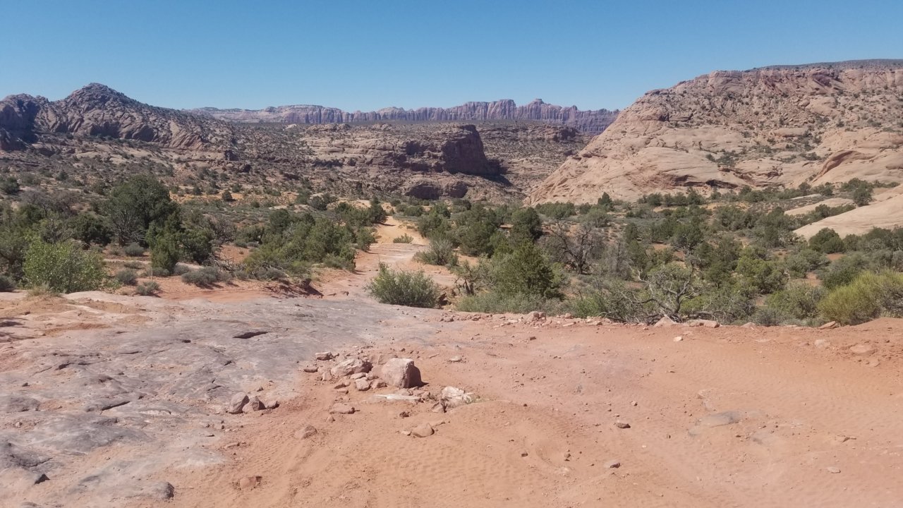 20220515_110952.jpg