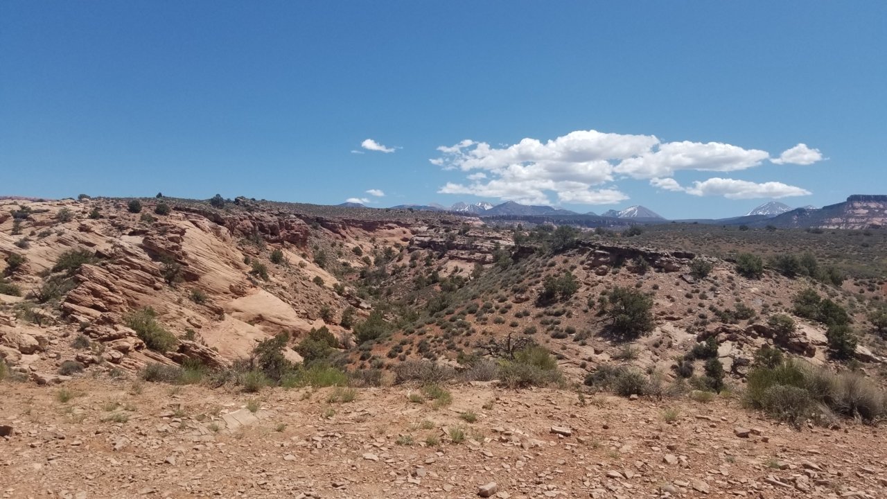 20220515_122934.jpg