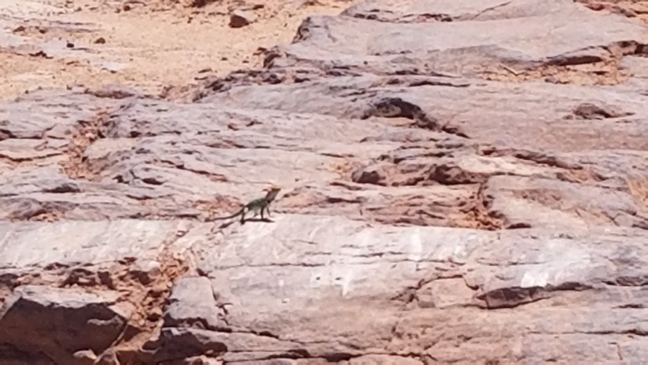20220515_124314.jpg