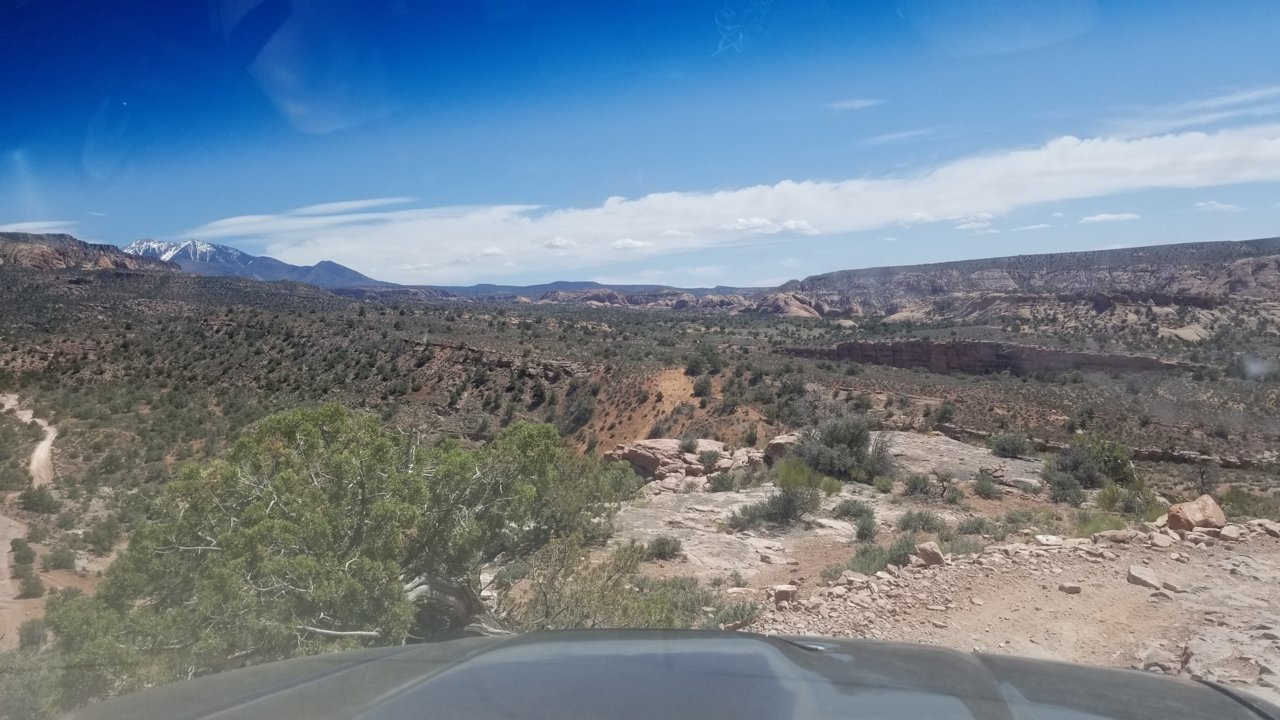 20220515_141626.jpg