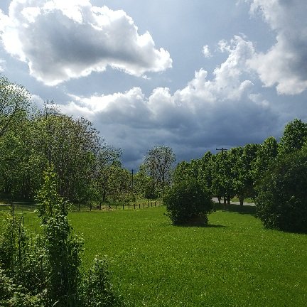 20220515_153005.jpg