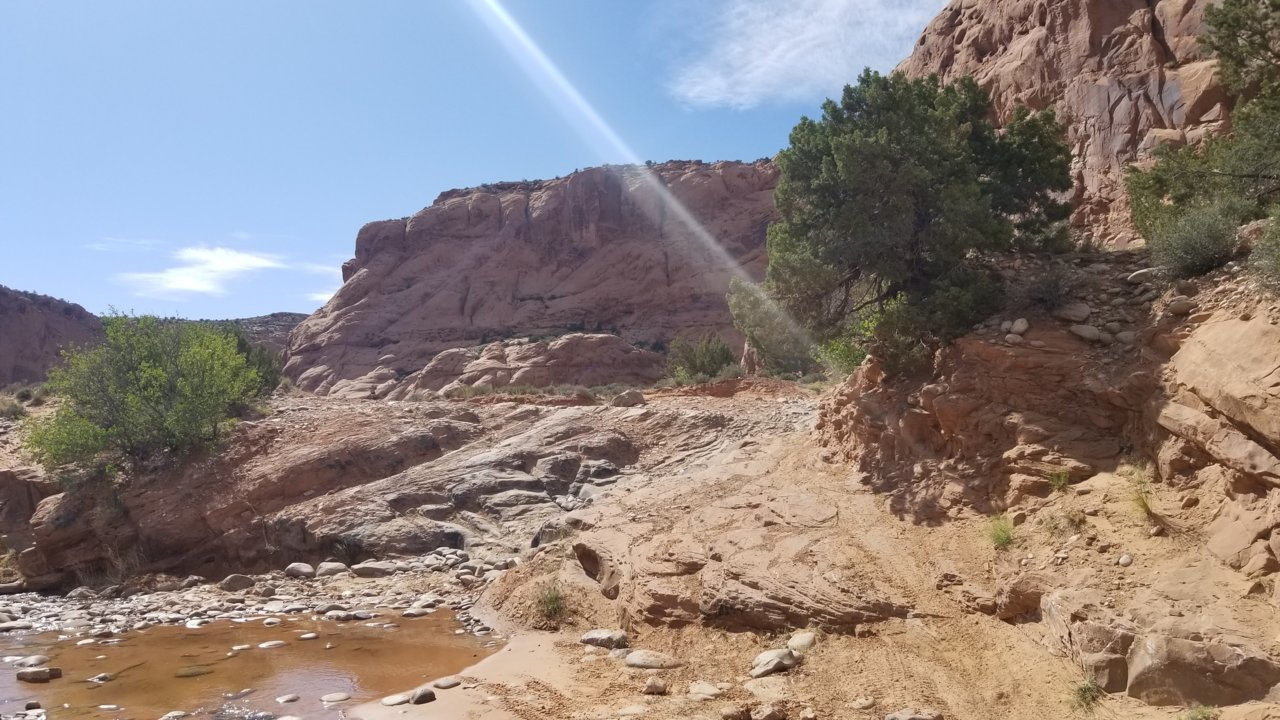 20220515_161941.jpg