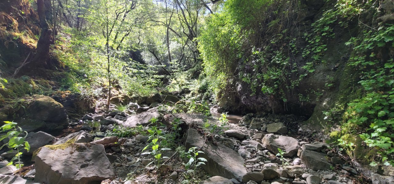 20220516_093517.jpg