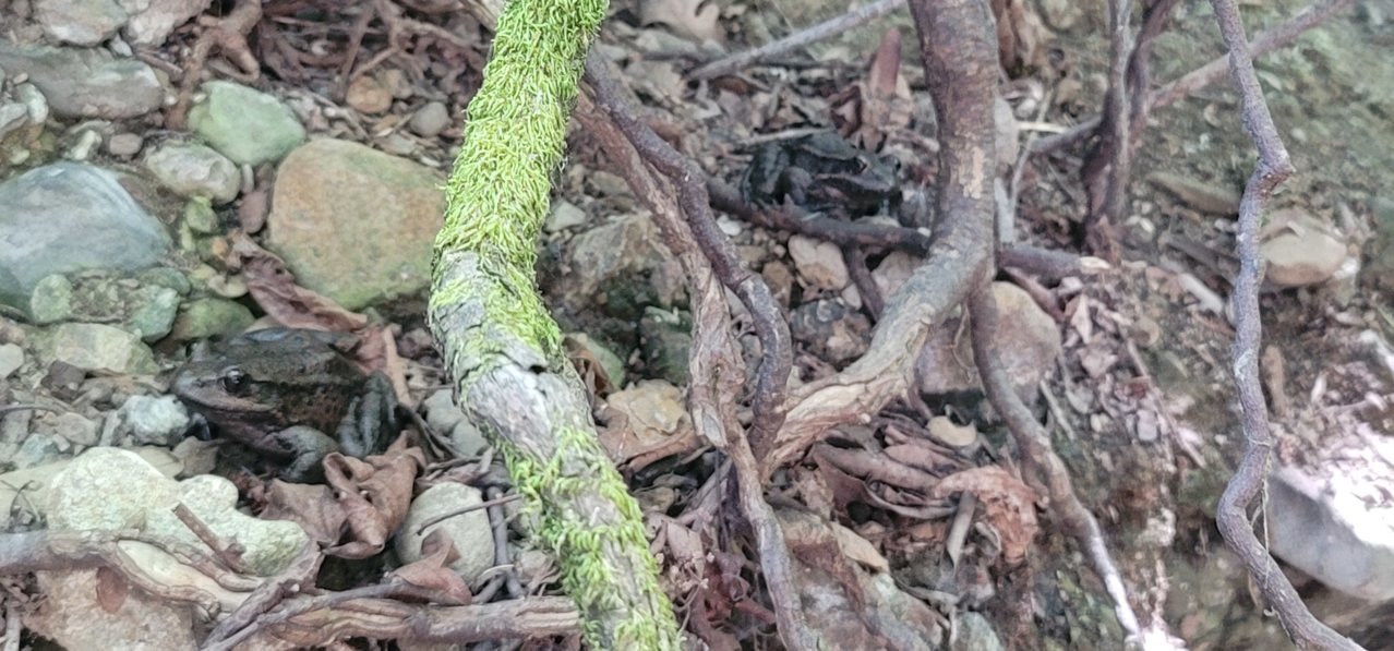 20220516_113006.jpg