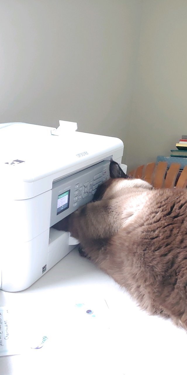 20220517_064811.jpg