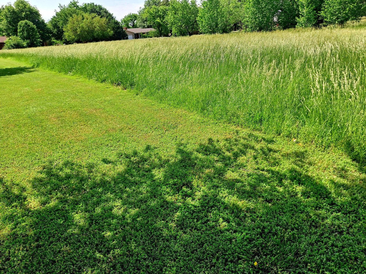20220517_151829.jpg