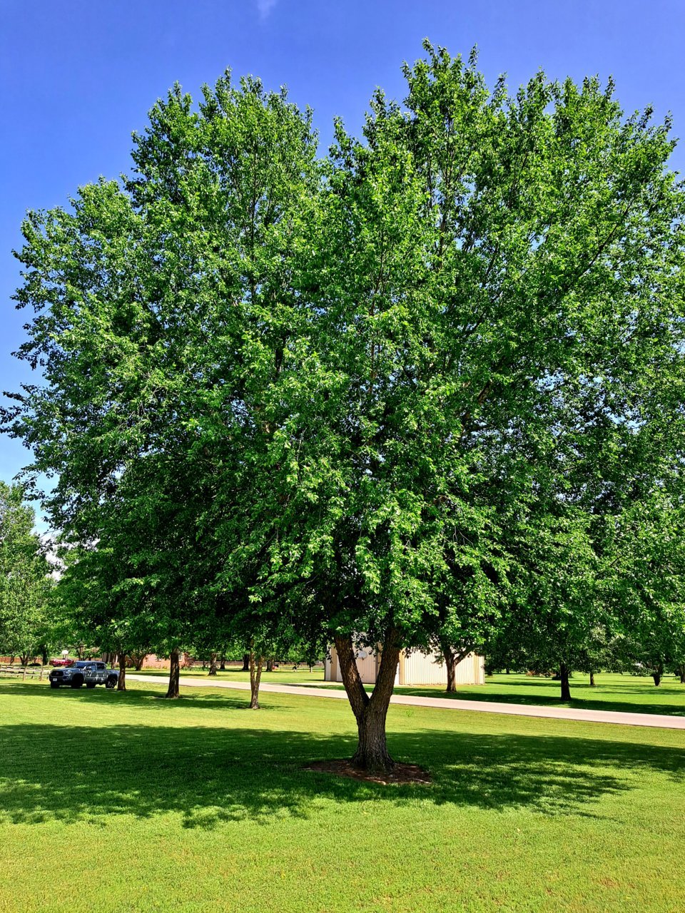 20220517_151911.jpg