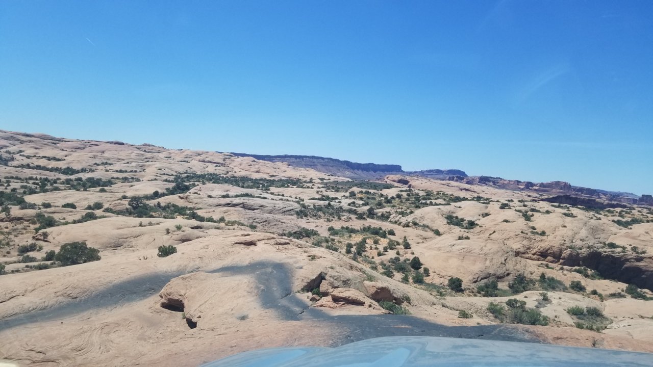 20220518_135116.jpg