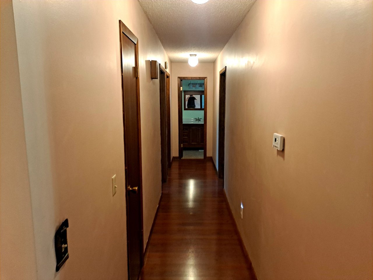 20220518_173737.jpg