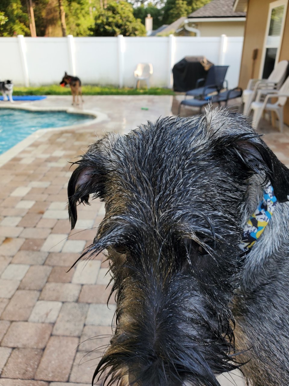 20220518_185149.jpg