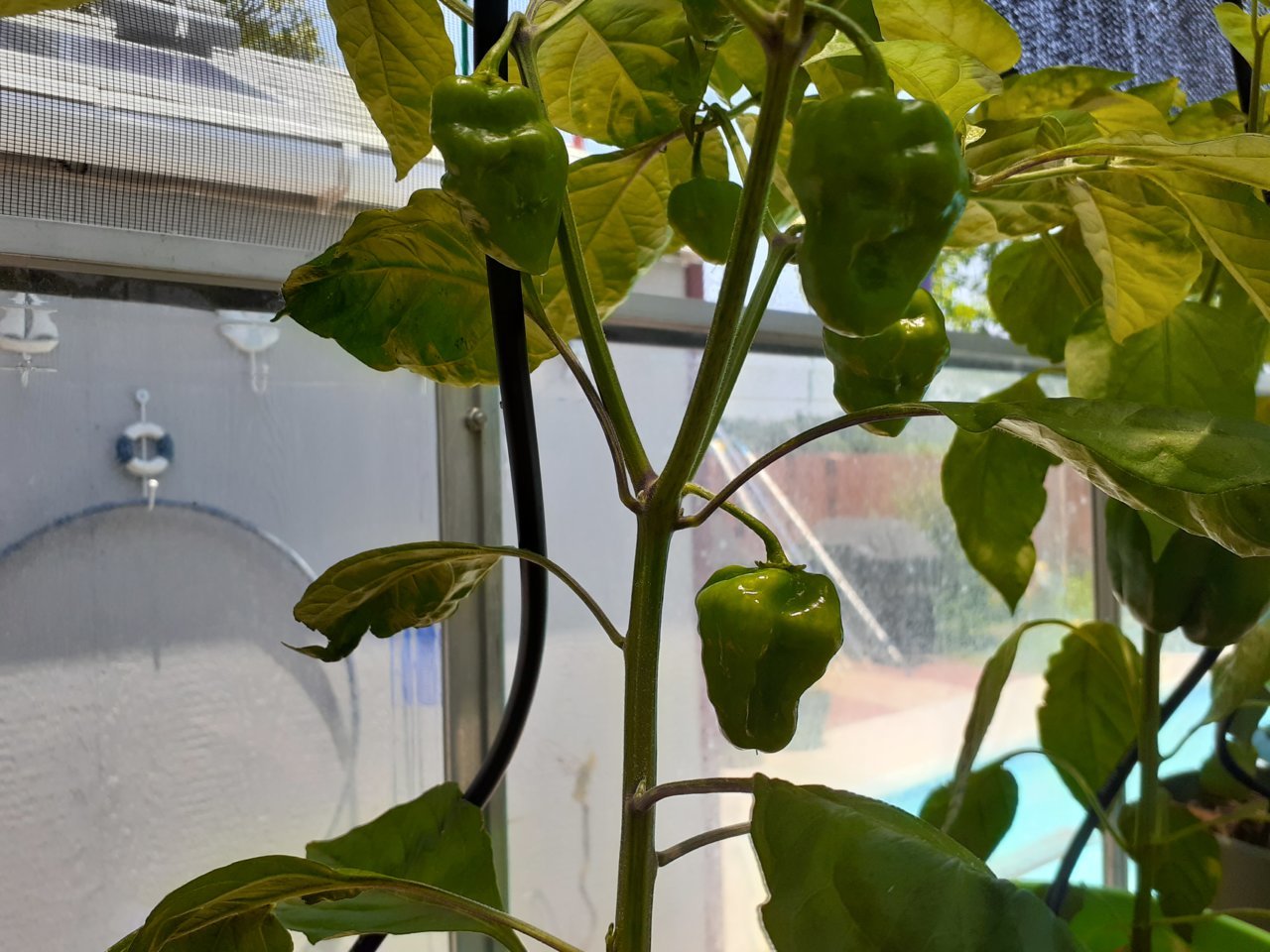 20220519_132845.jpg