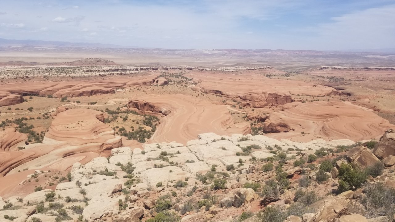 20220519_143216.jpg