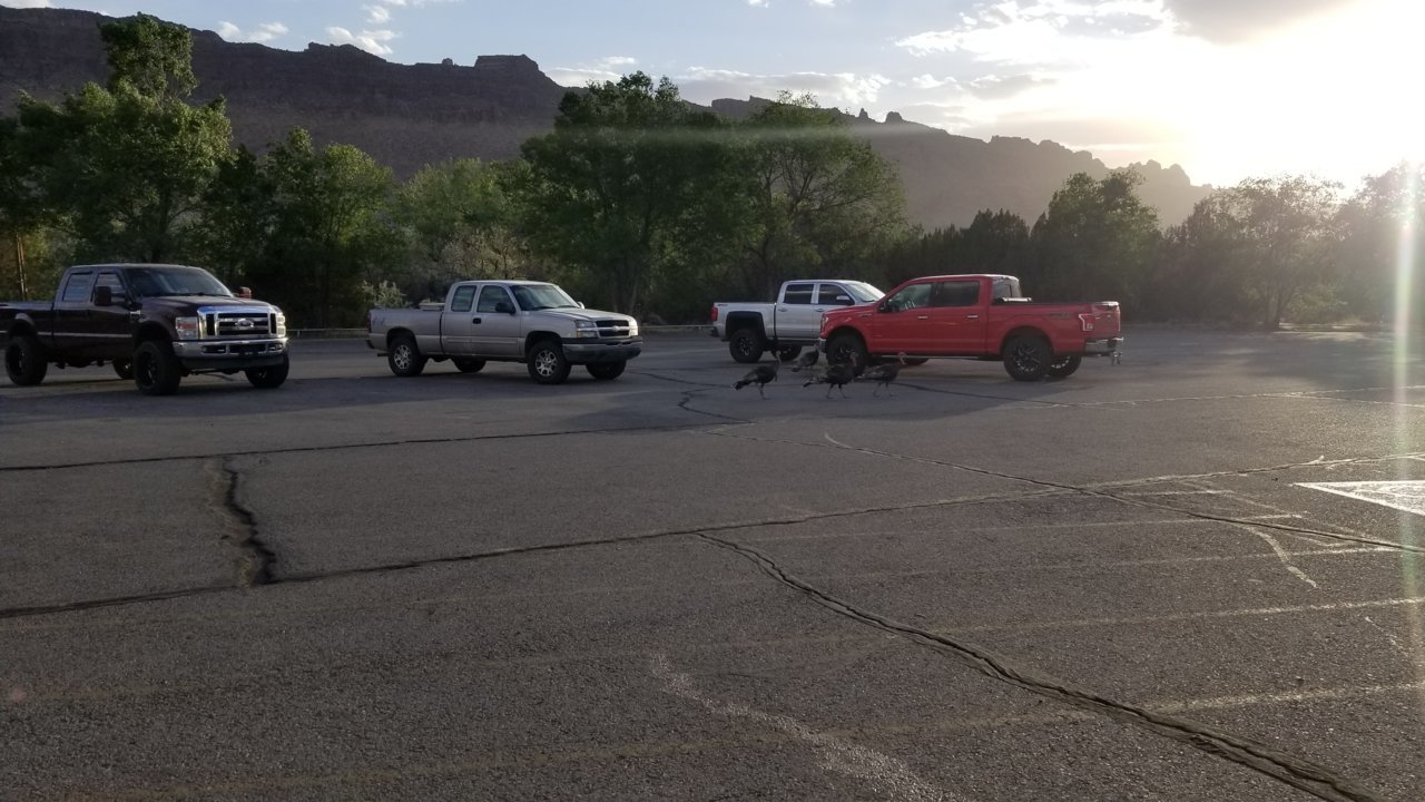 20220519_193735.jpg
