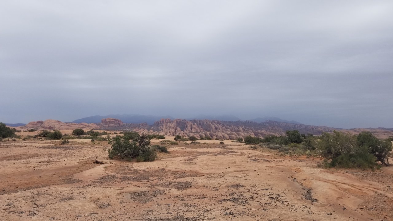 20220520_125157.jpg