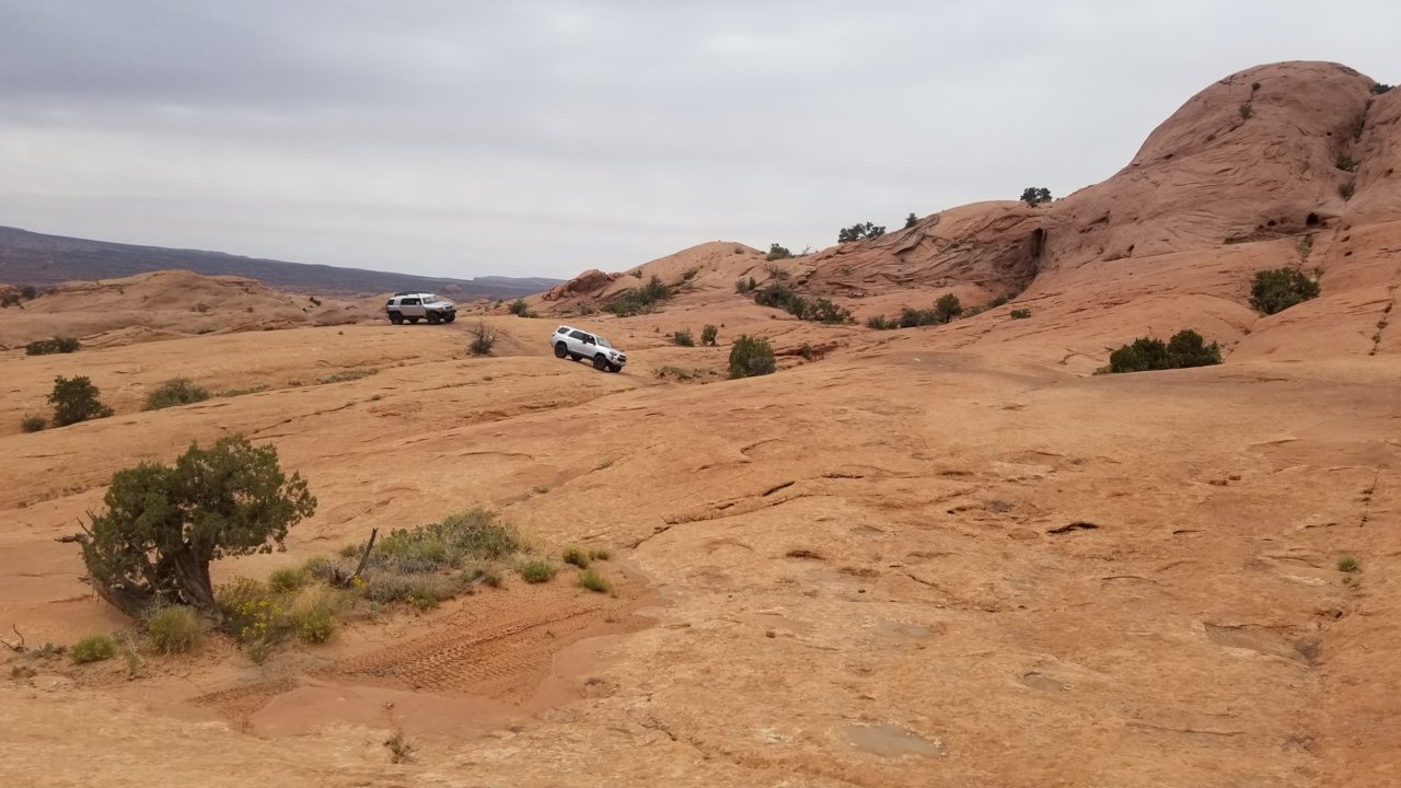 20220520_141545.jpg