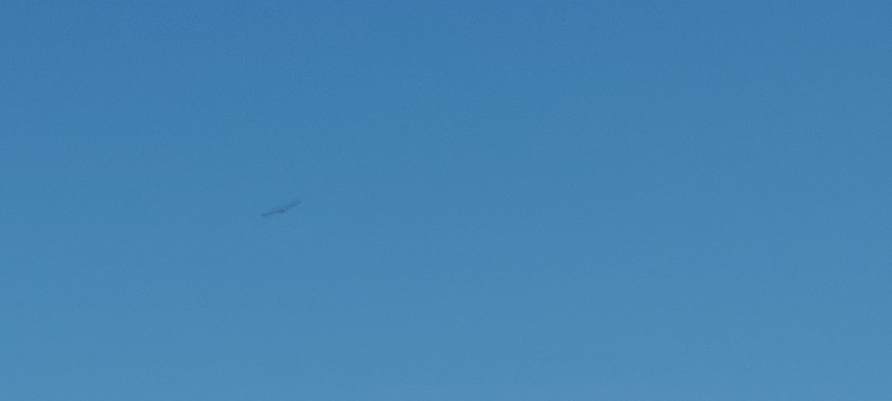 20220521_115330.jpg