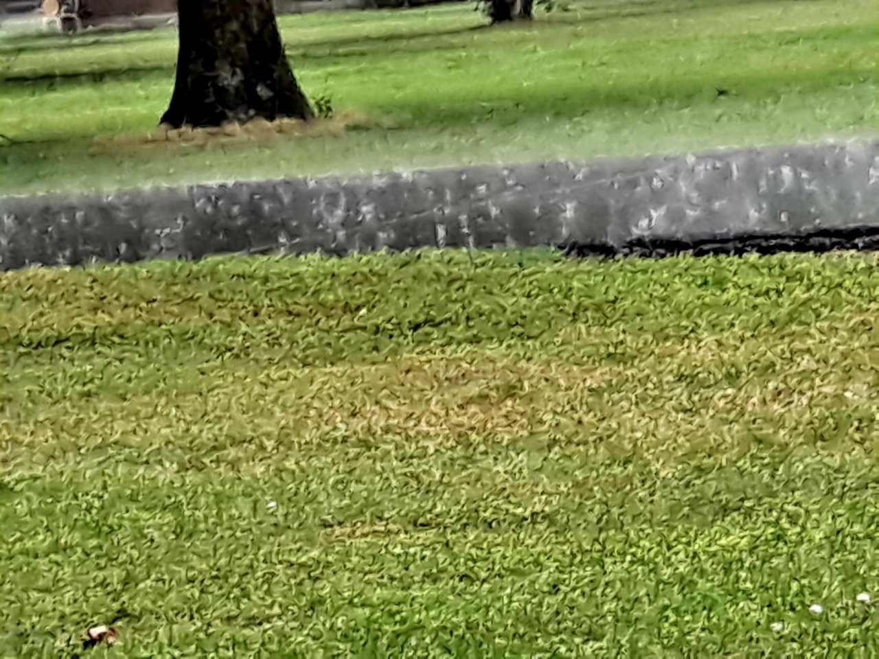 20220521_122834.jpg