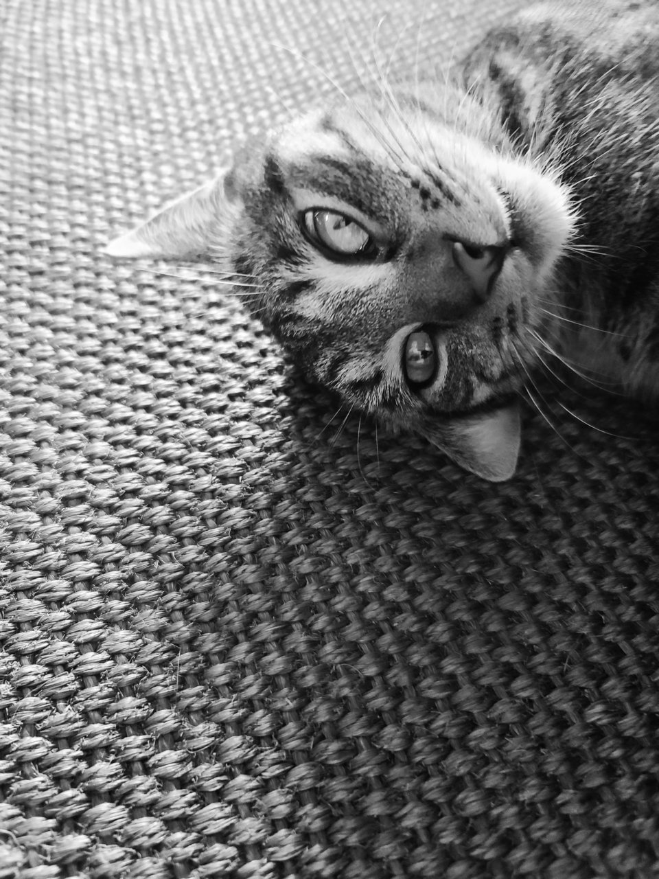 20220521_141047.jpg