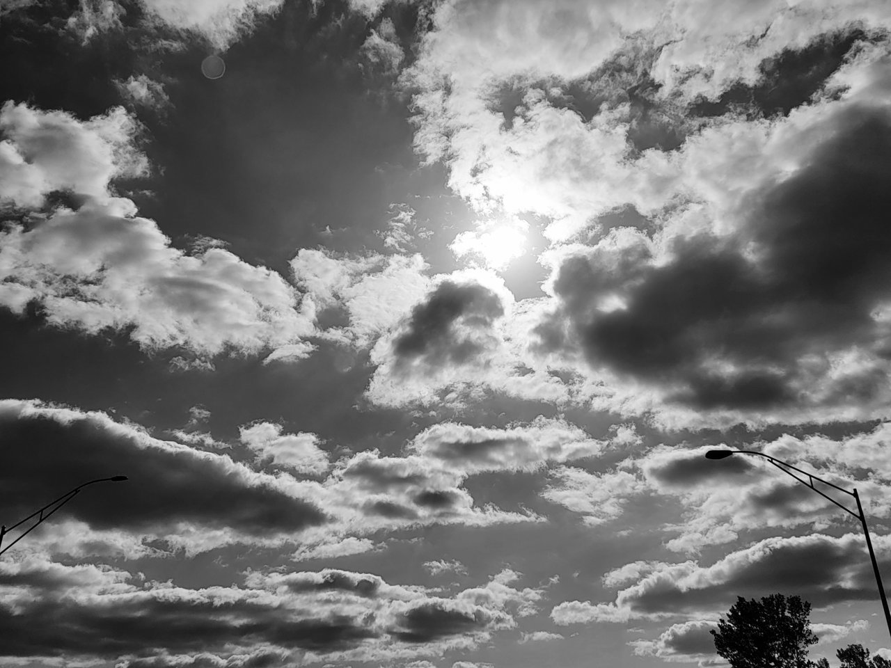 20220521_173332.jpg