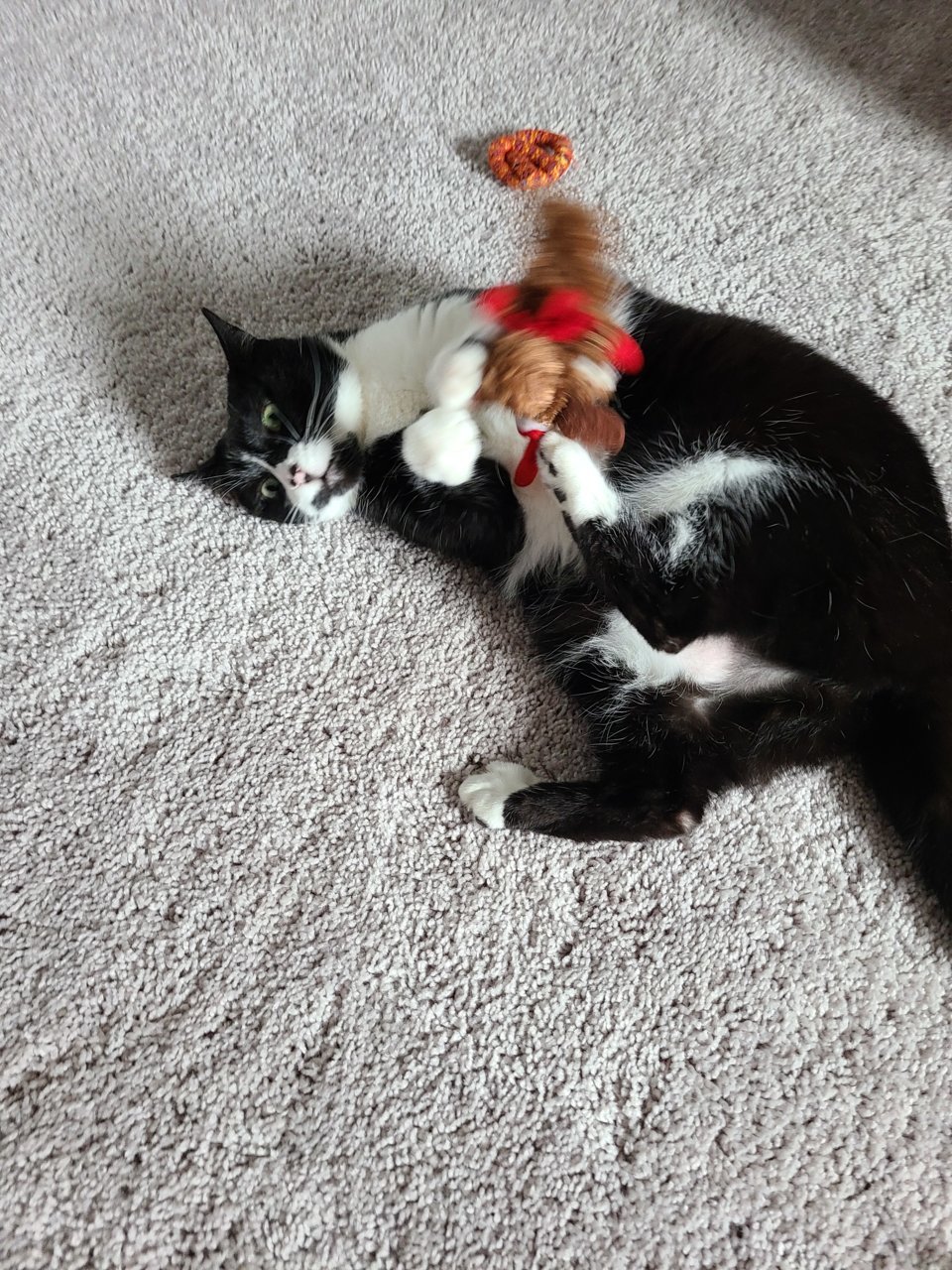 20220524_112121.jpg