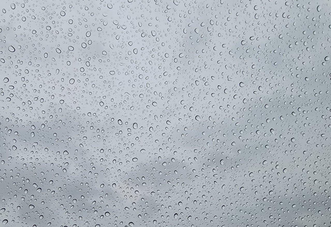 20220524_132257.jpg